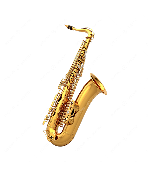 Saxophone Accessories