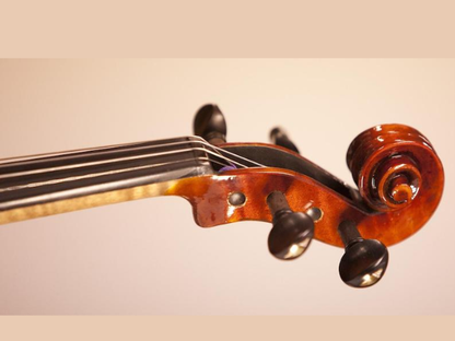 Techno Premium Ebony Violin Pegs – Natural Wood Finish, Durable Manual Tuners, Professional Replacement Accessory for Smooth and Stable Tuning Control